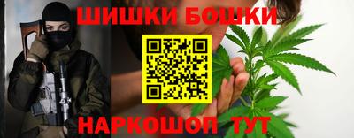 тгк Славгород