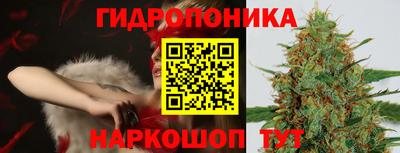 стафф Ставрополь