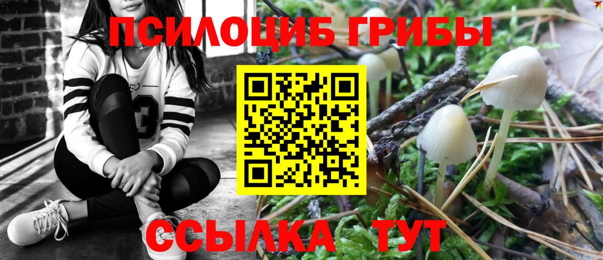 Галлюциногенные грибы Magic Shrooms  Вход с VPN  Первоуральск  купить закладку  Галлюциногенные грибы мицелий 